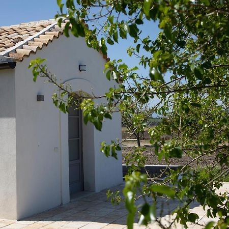 Masseria Celentano Relais & Agriturismo Сан Северо Екстериор снимка